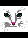cat cat