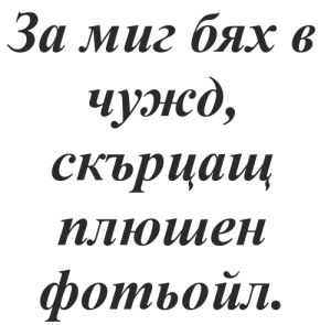 Букви Таймс Ню Роман
