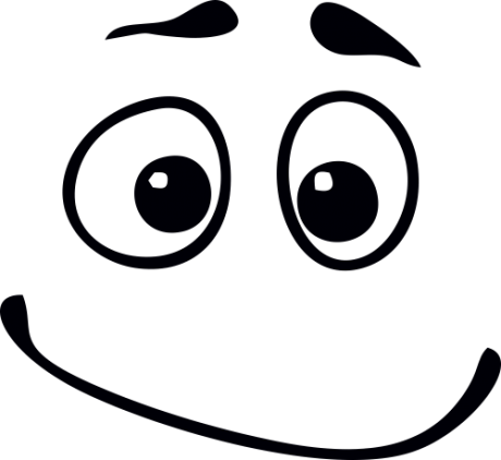 face11