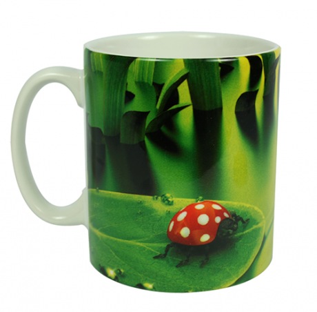 mug