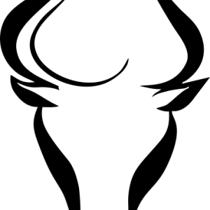 Зодии