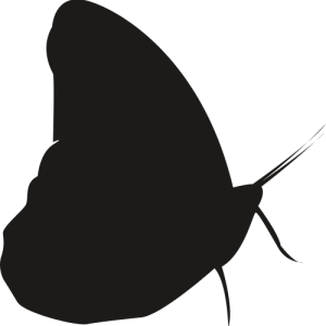 Стикер Пеперуда