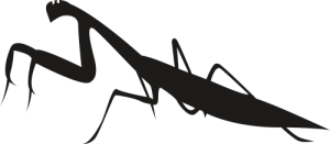 Стикер Богомолка