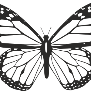 Стикер Пеперуда