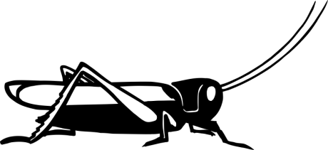 in026