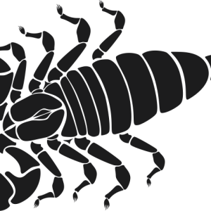 Стикер Скорпион