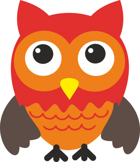 owl3