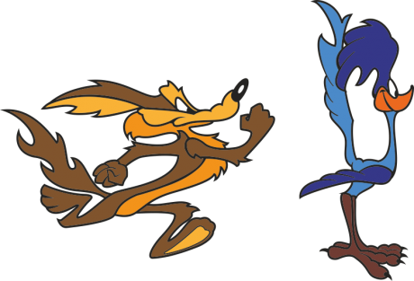 roadrunner