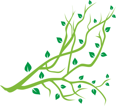 tree-branch-vector