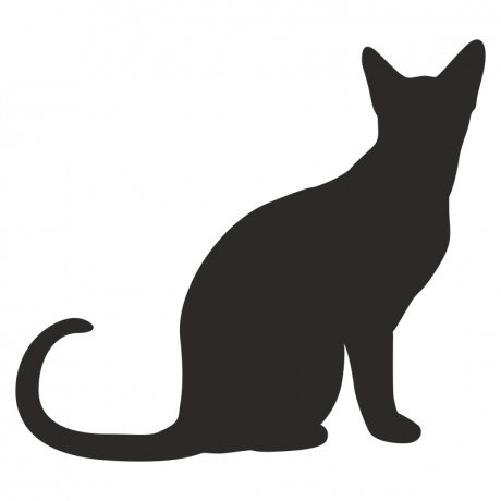 toilet woman cat