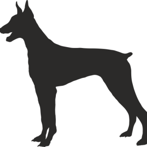 Стикер Куче