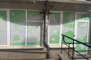 Zona Zdrave, Шипченски проход